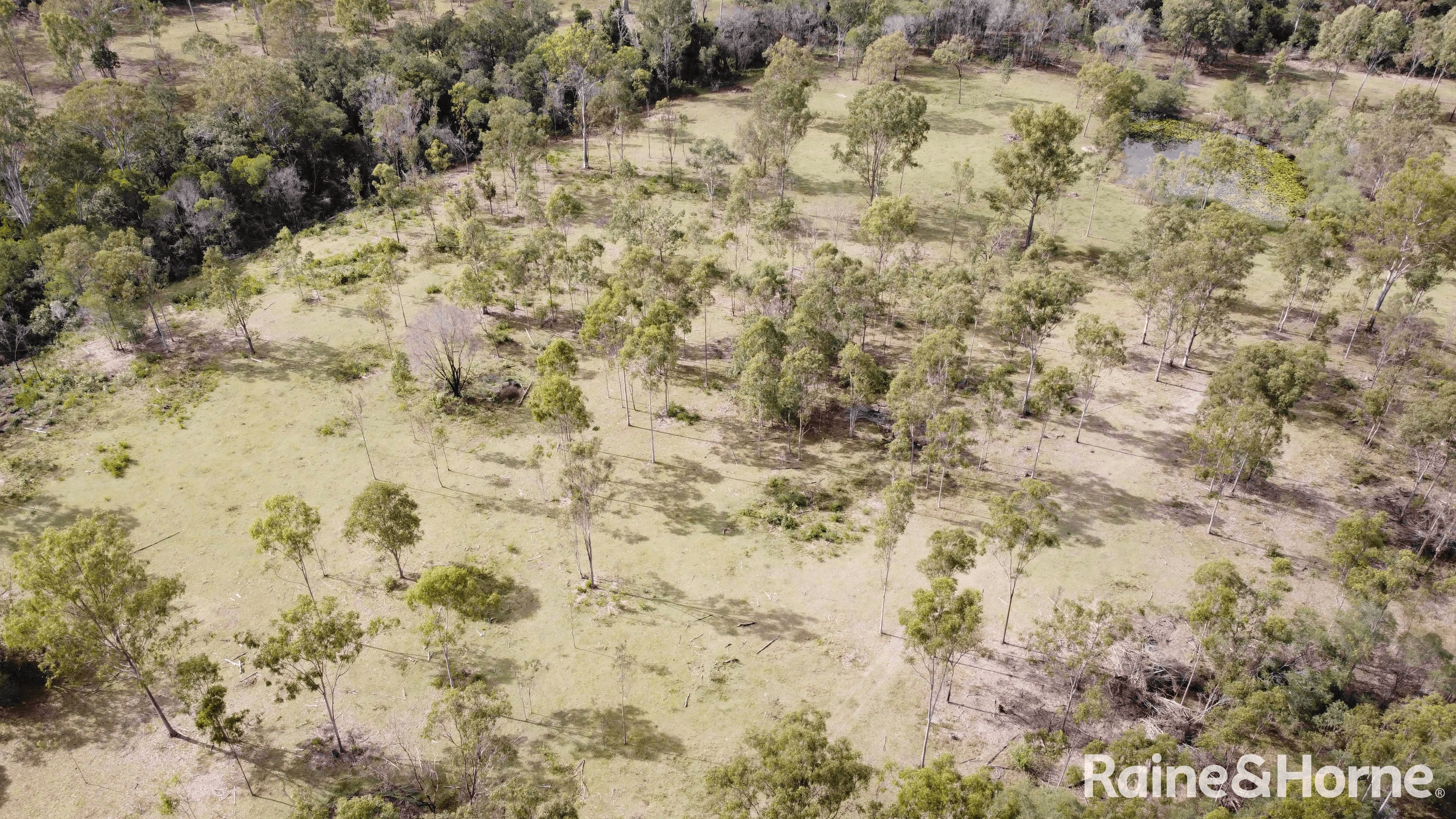 Lot 38 Tenningering Road, GOOD NIGHT, QLD 4671