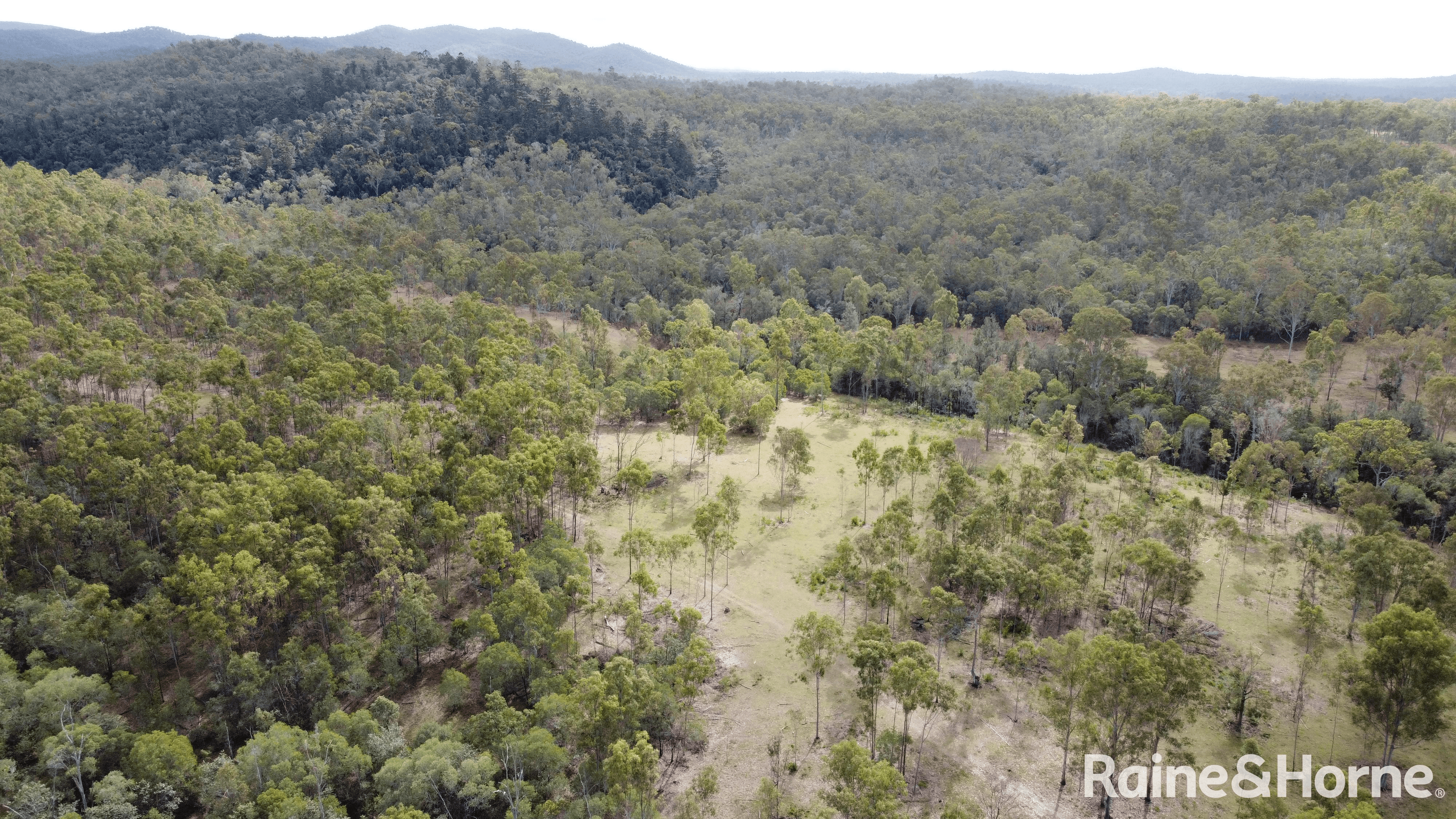 Lot 38 Tenningering Road, GOOD NIGHT, QLD 4671