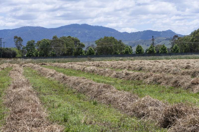 1068 Segenhoe Road, Scone, NSW 2337