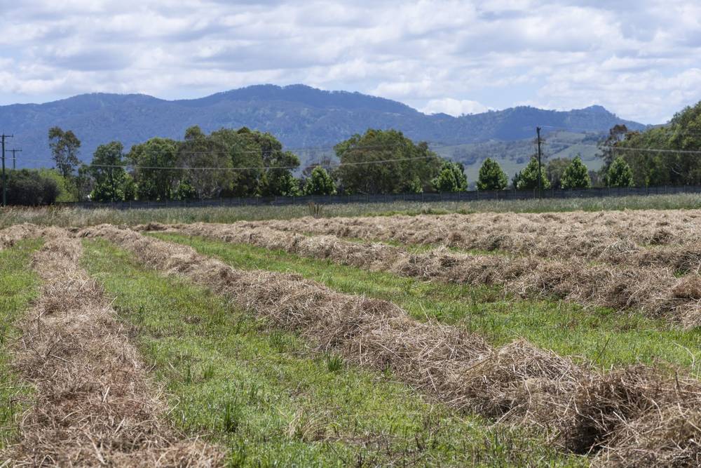 1068 Segenhoe Road, Scone, NSW 2337