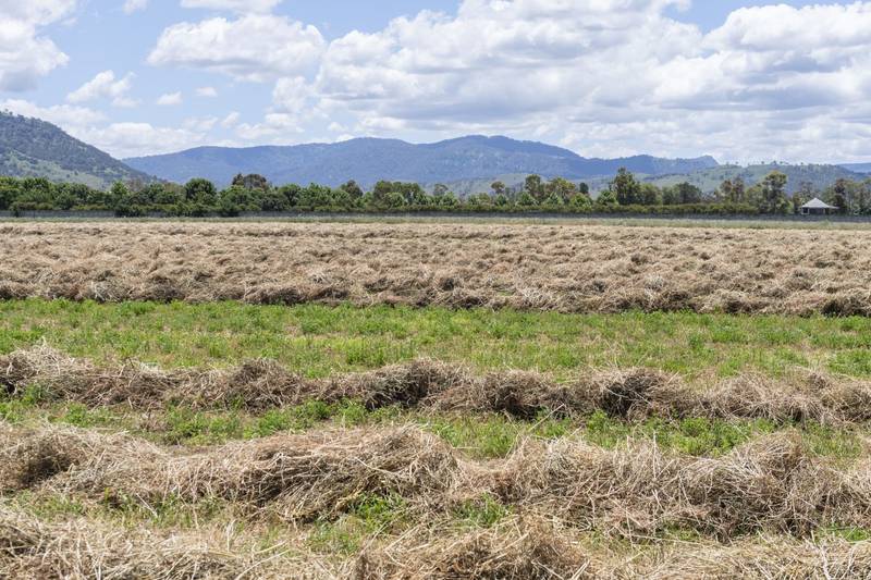 1068 Segenhoe Road, Scone, NSW 2337