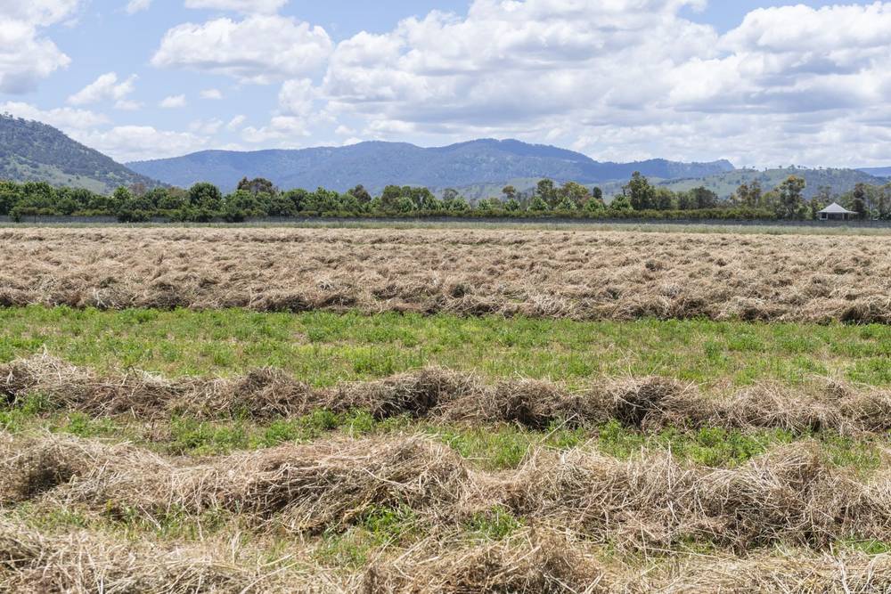 1068 Segenhoe Road, Scone, NSW 2337