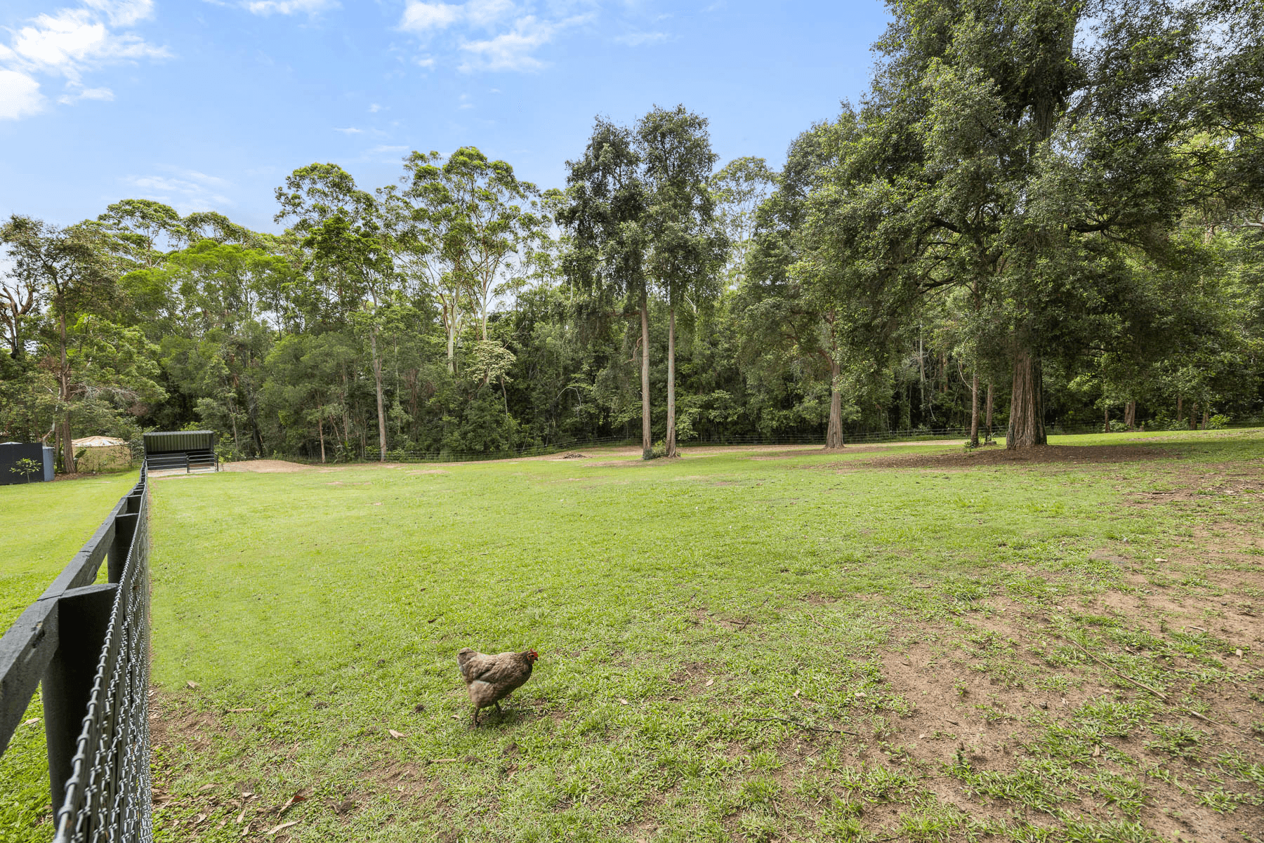 47 Racehorse Lane, LAKE MACDONALD, QLD 4563