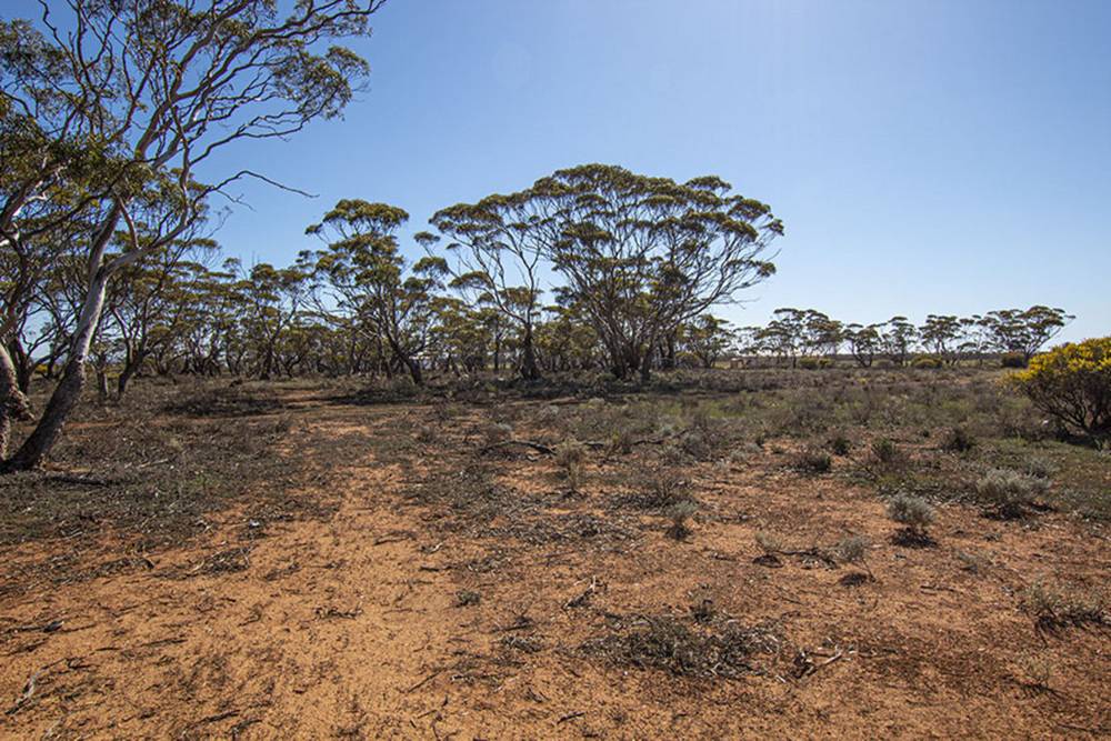 Lot 3 Schilling Road, Annadale, SA 5356