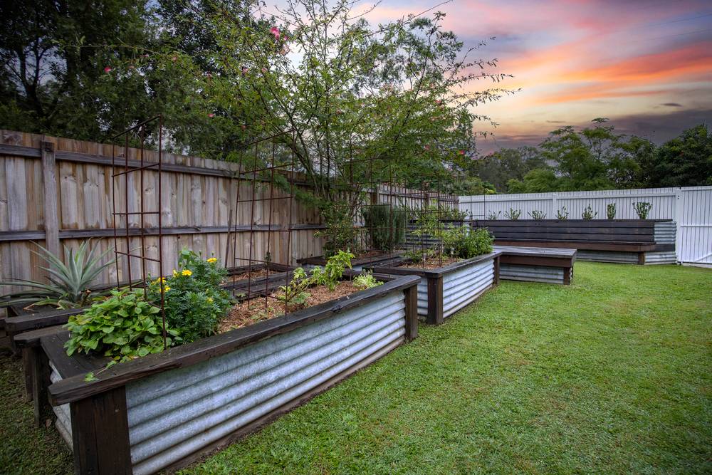 19 Cairns Avenue, Palm Beach, QLD 4221