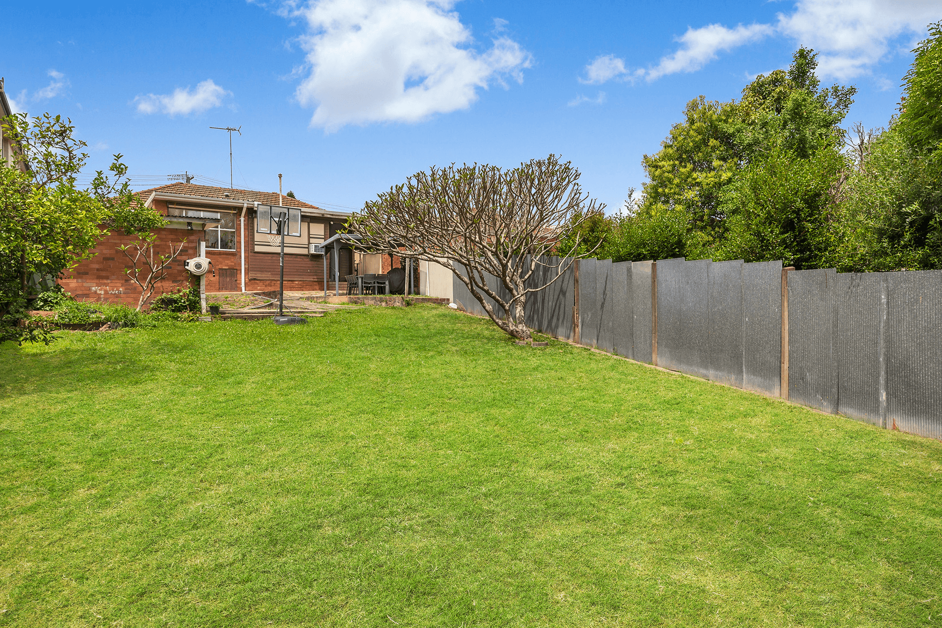 51 Carroll Street, Beverley Park, NSW 2217