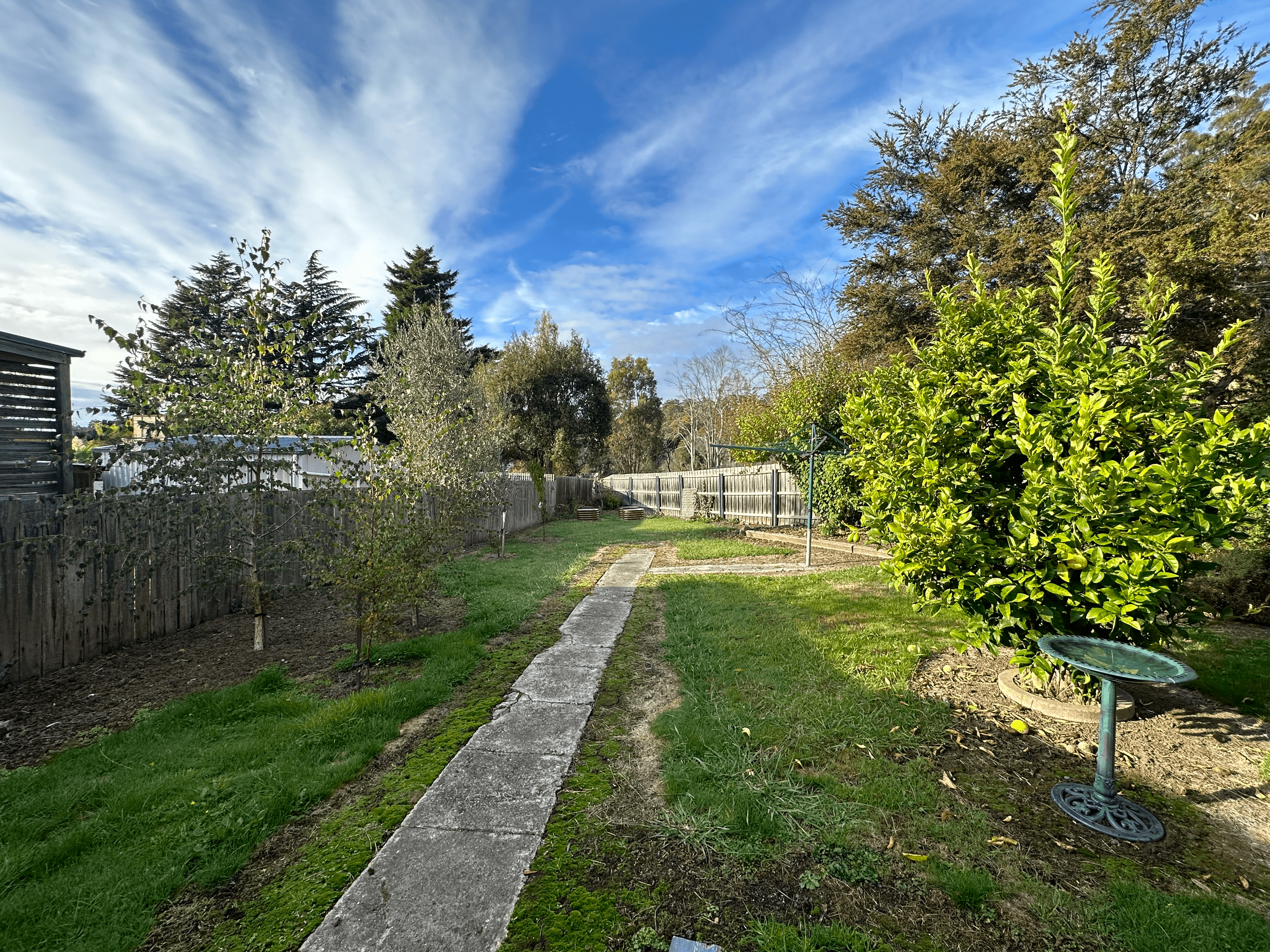 41 Bowen Avenue, TREVALLYN, TAS 7250