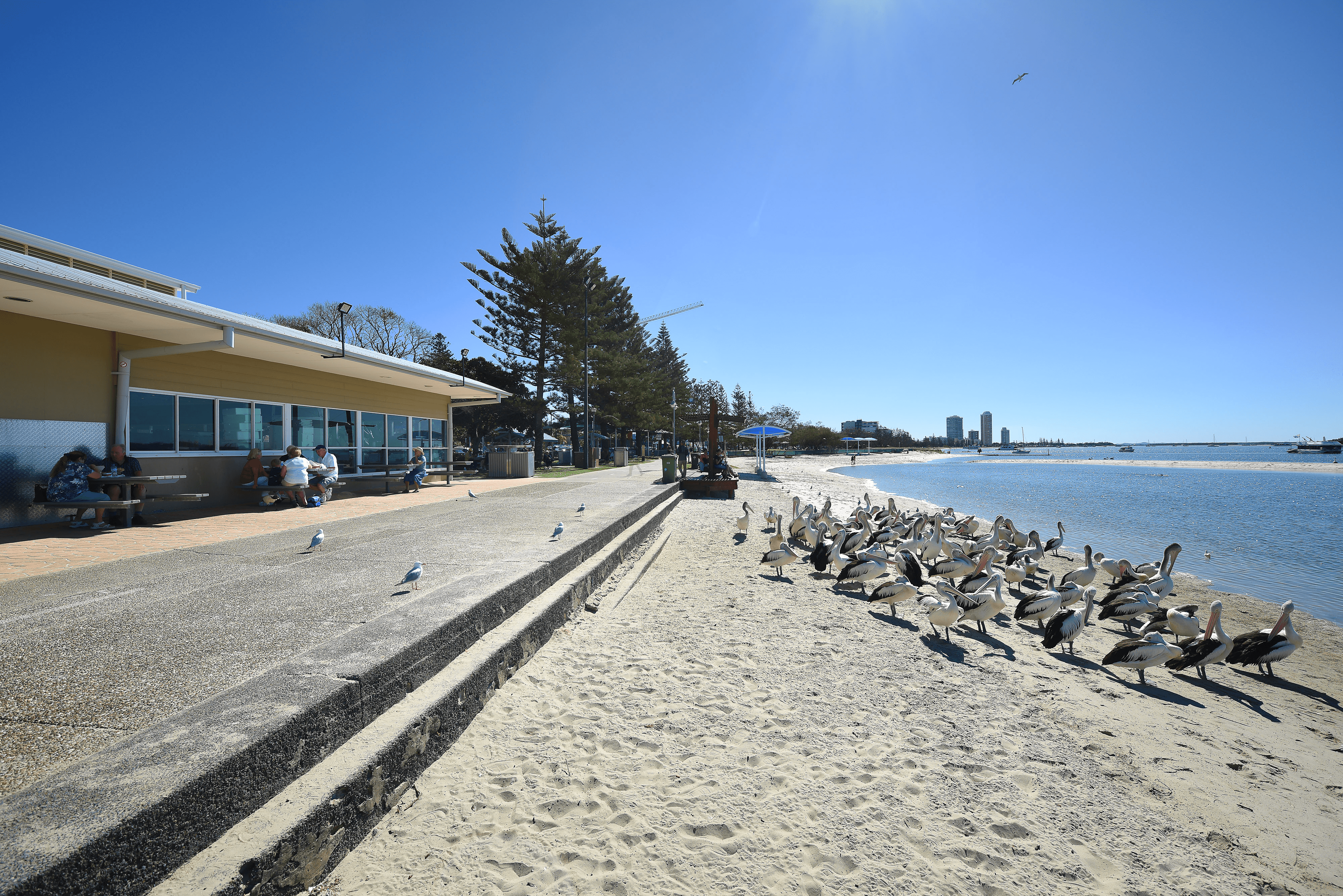 14 / 106-108 Marine Parade, SOUTHPORT, QLD 4215