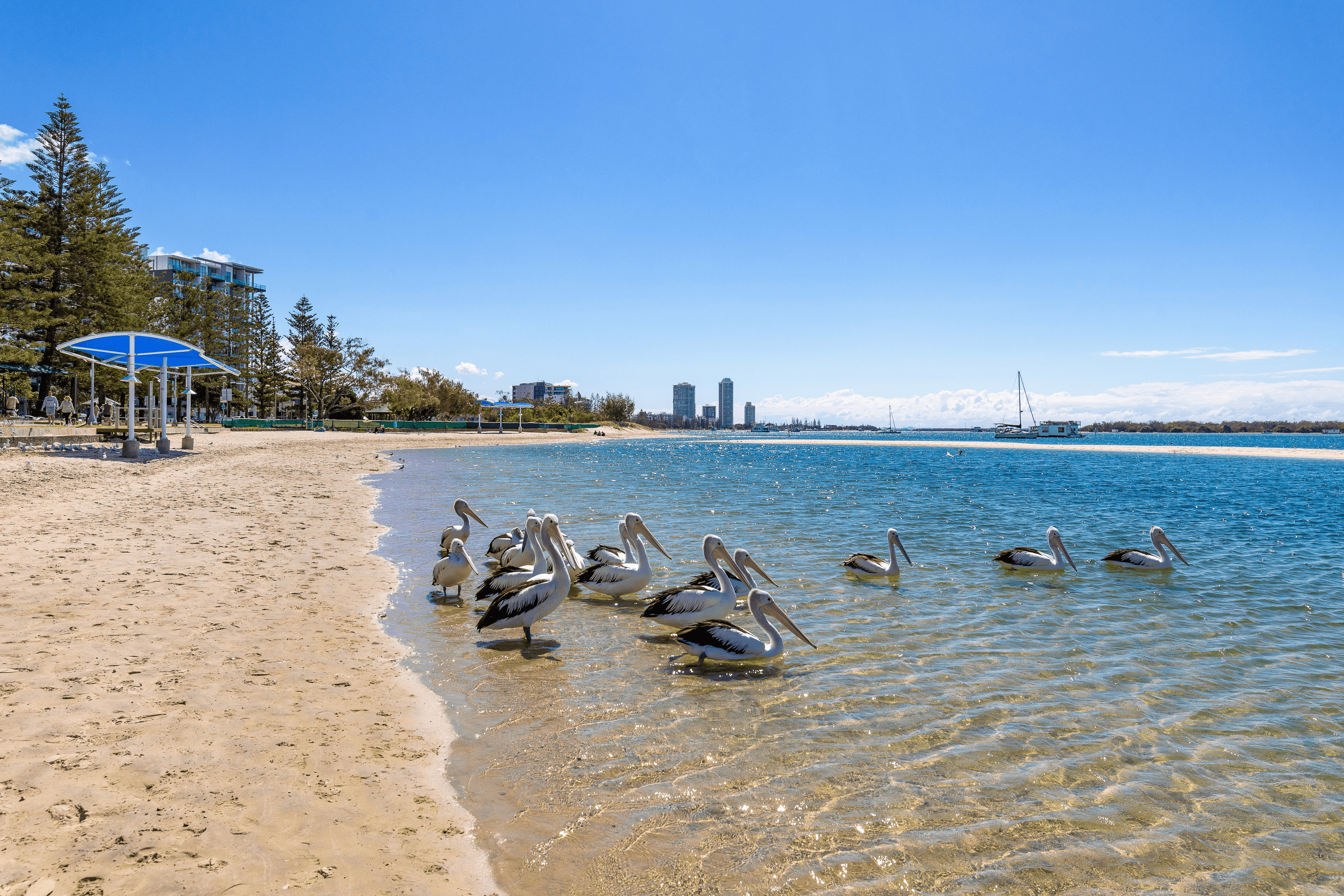 14 / 106-108 Marine Parade, SOUTHPORT, QLD 4215