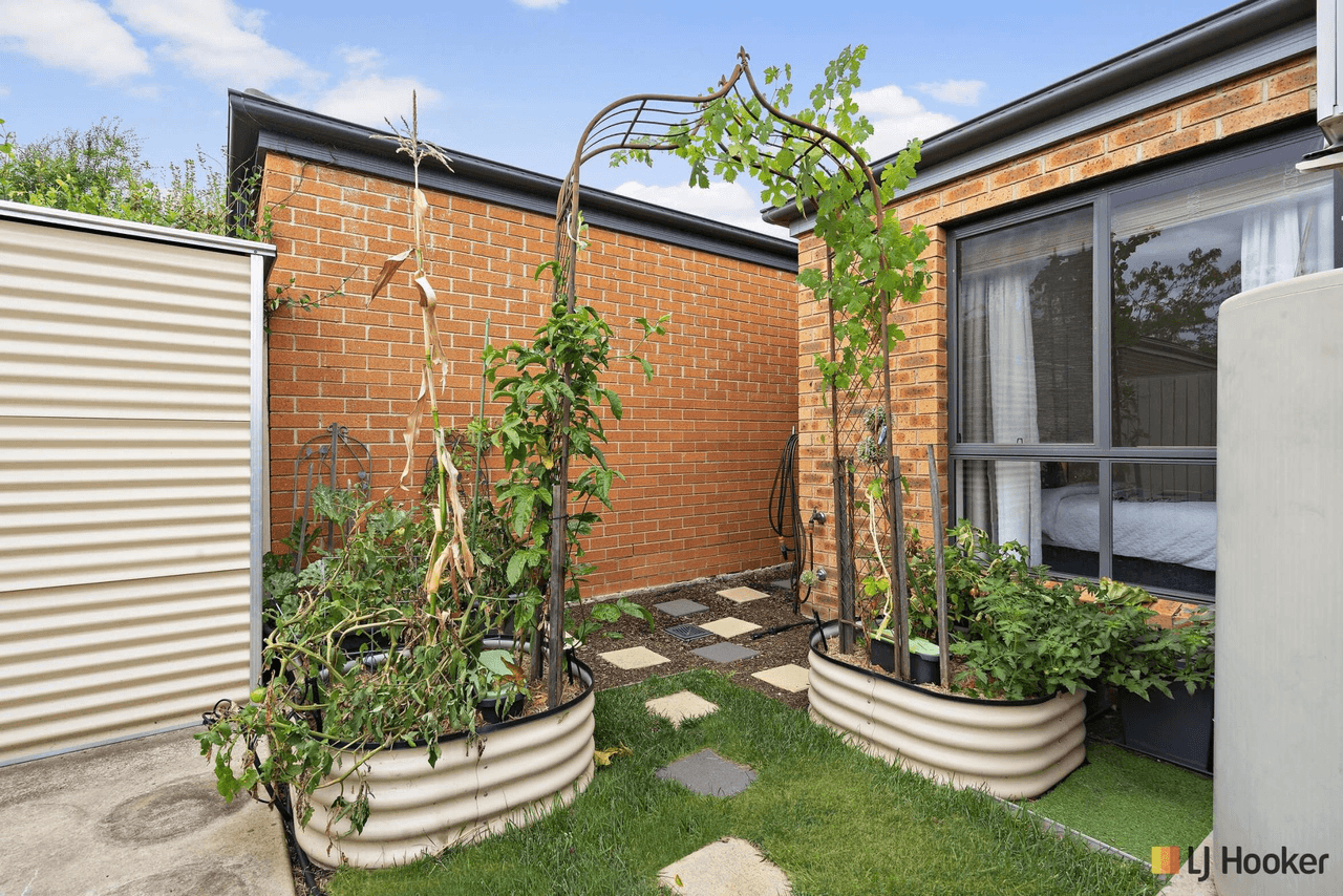 10 Whitmore Crescent, WATSON, ACT 2602