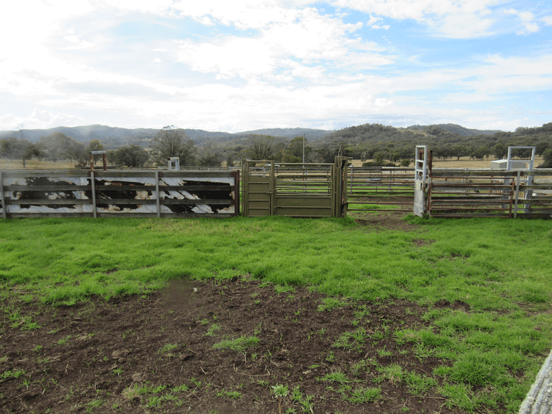 2272 Airlie Stock Route Road, Bendemeer, NSW 2355