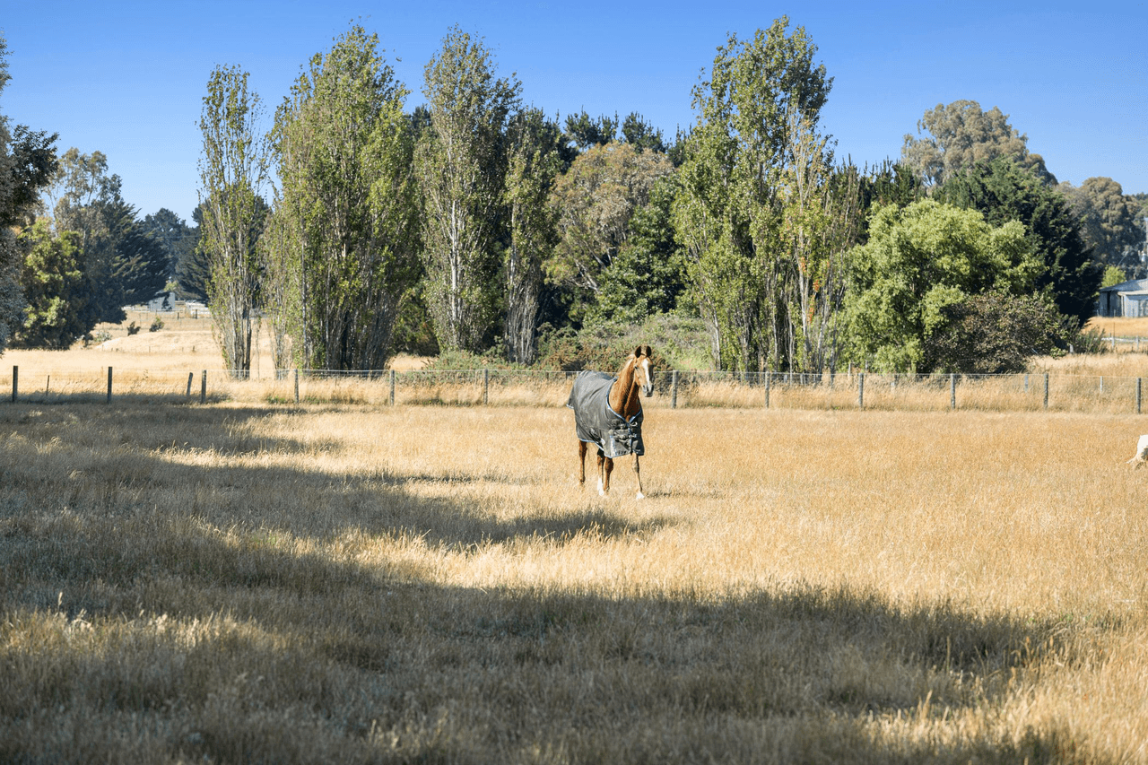 280 Pipers Creek Road, KYNETON, VIC 3444