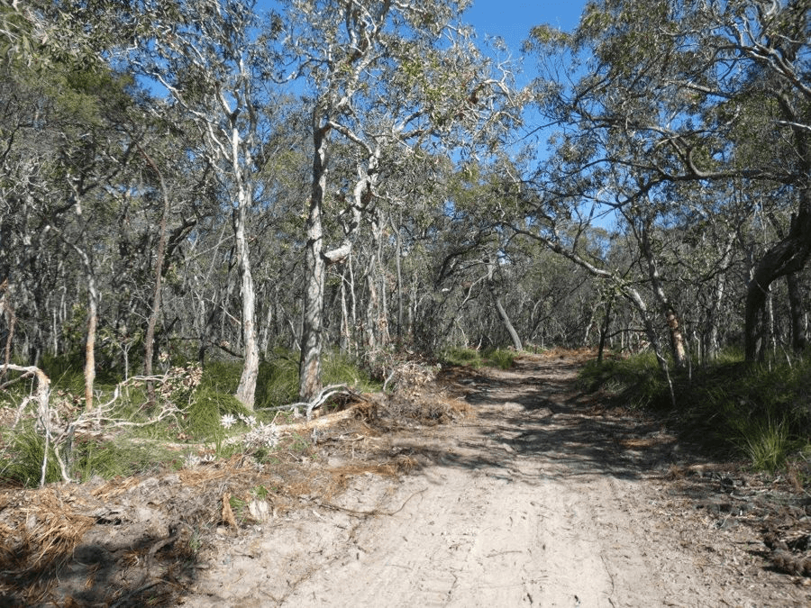 Lot 4  Fingerfield Road, RULES BEACH, QLD 4674