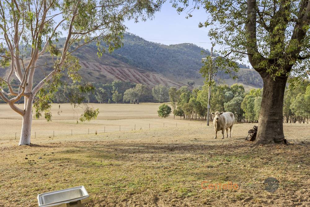 8243 Murray River Rd, Walwa, VIC 3709