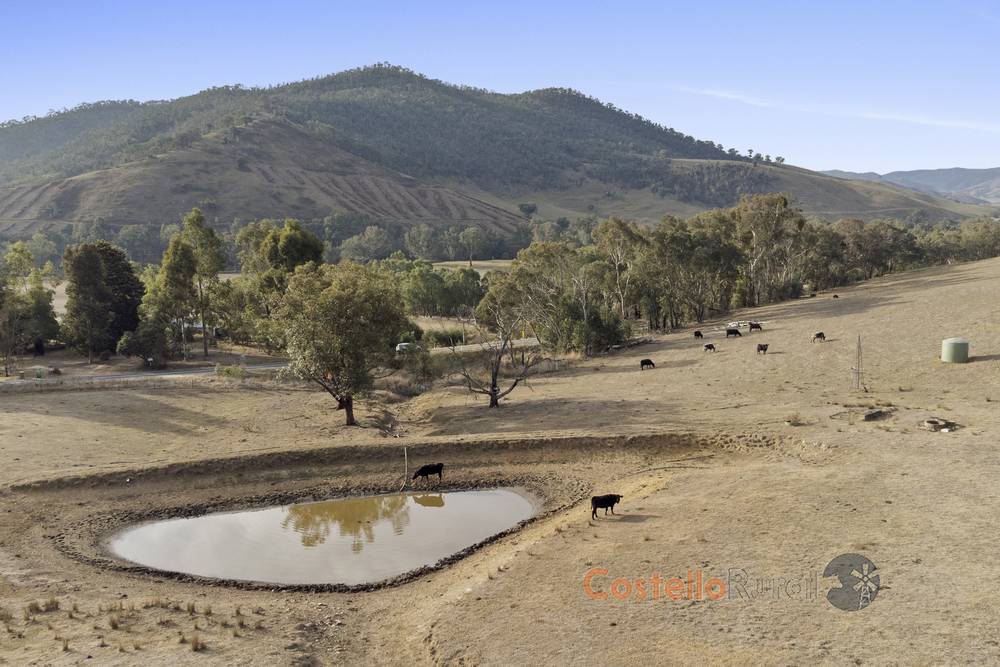 8243 Murray River Rd, Walwa, VIC 3709