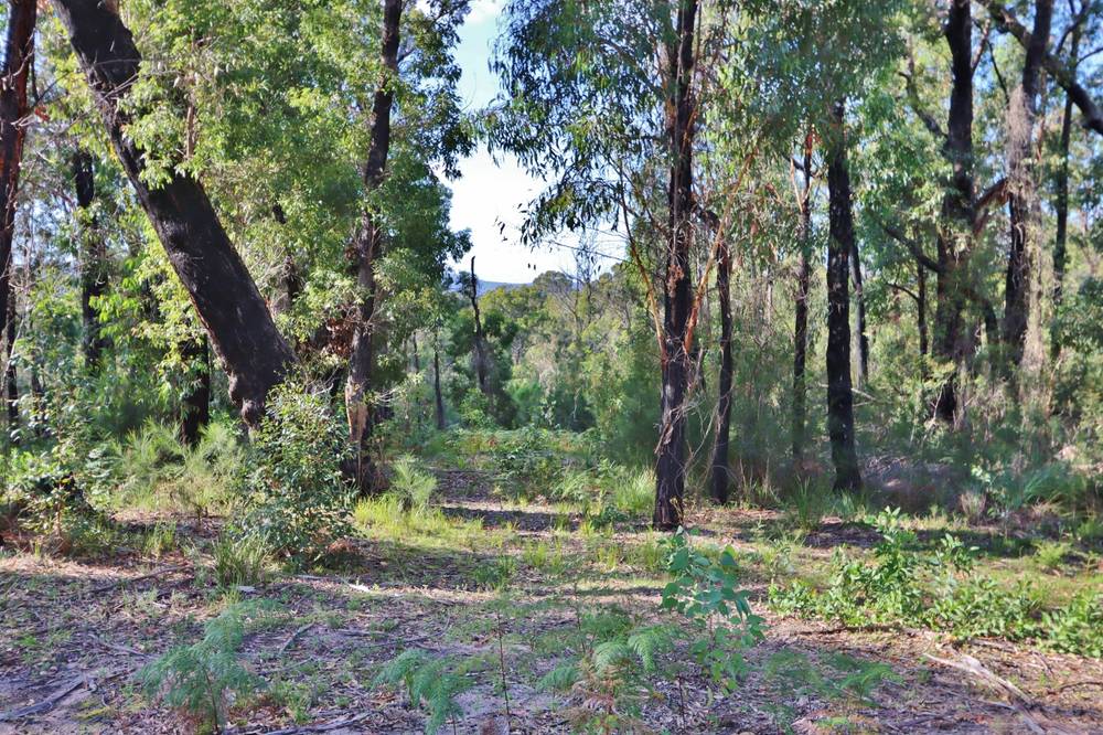 66 Nadgee Road, WONBOYN, NSW 2551
