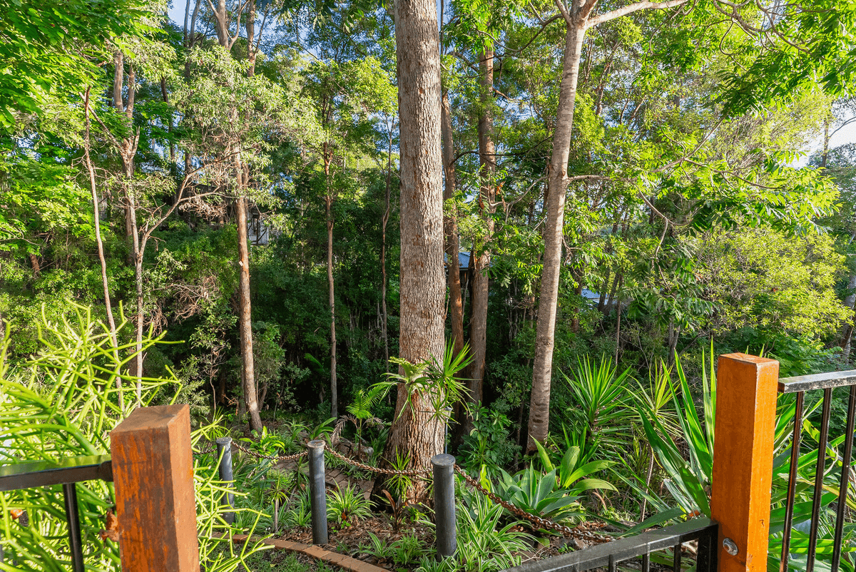 6 Forest Rise Court, Buderim, QLD 4556