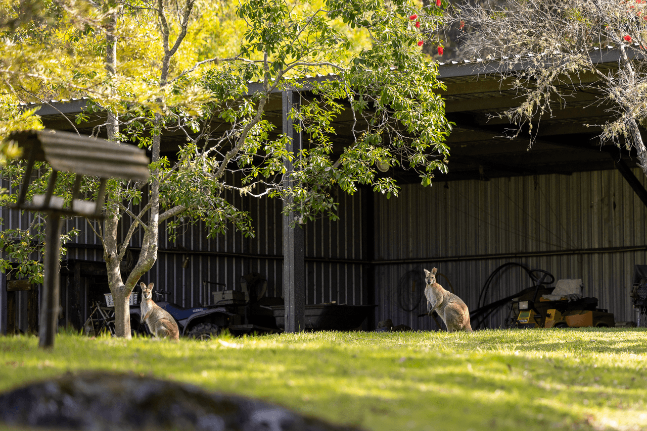 70 Eringa Way, BUNYAH, NSW 2429