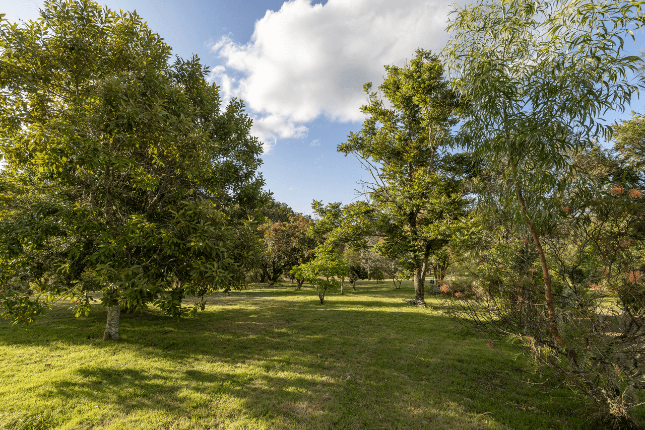 70 Eringa Way, BUNYAH, NSW 2429