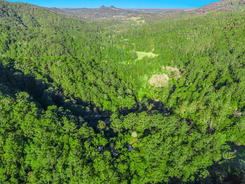 1304 Main Arm Road, UPPER MAIN ARM, NSW 2482