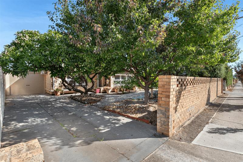 34 Norfolk Road, Marion, SA 5043