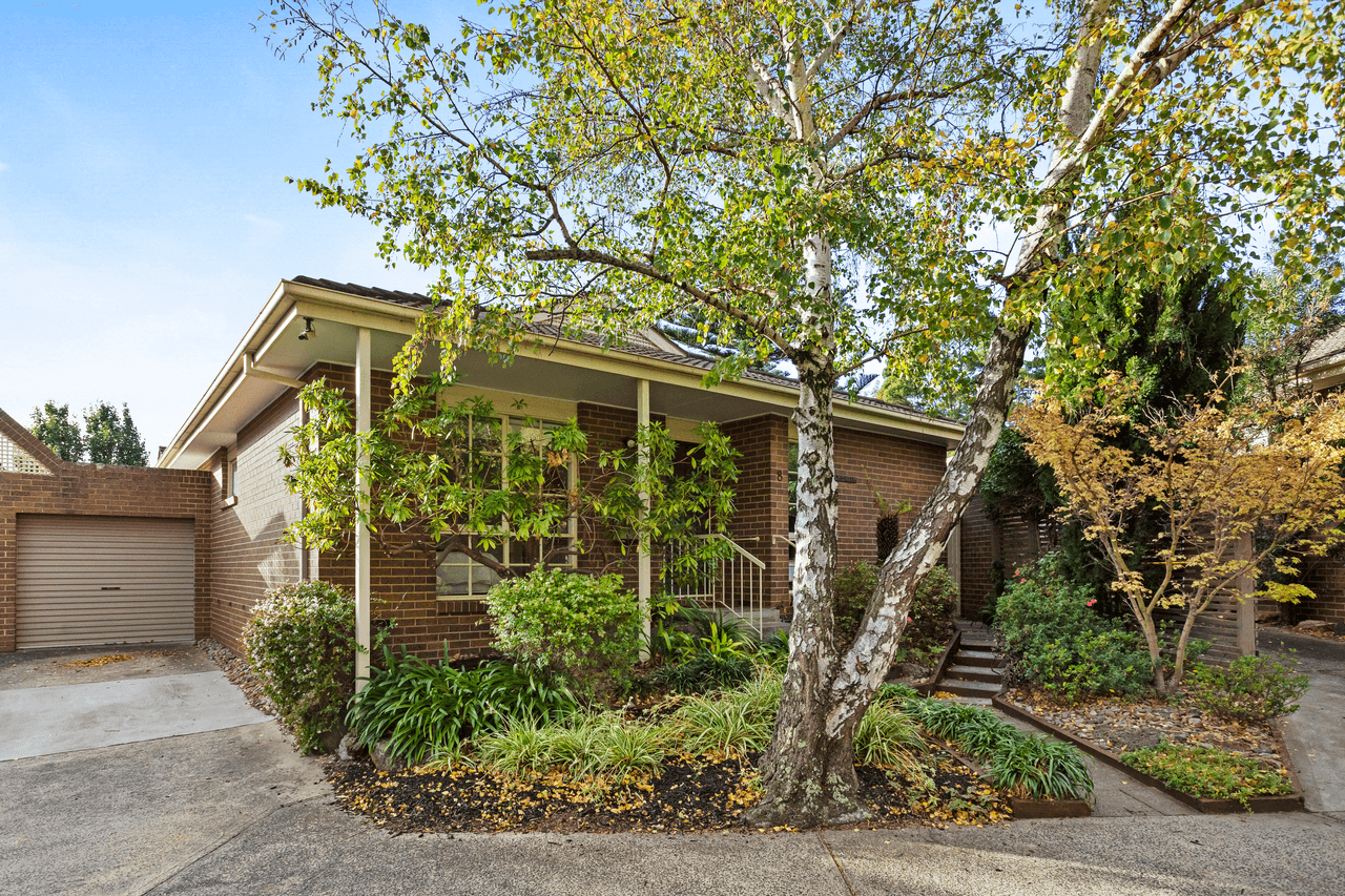 8/19-21 Wilson Street, CHELTENHAM, VIC 3192