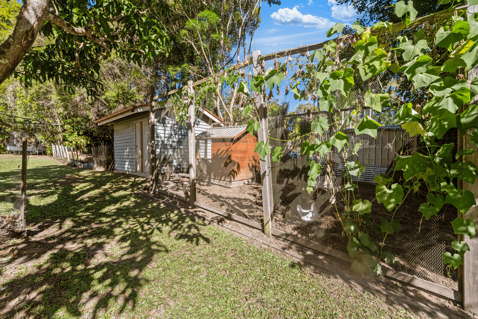 8 Rovera Road, GLASS HOUSE MOUNTAINS, QLD 4518