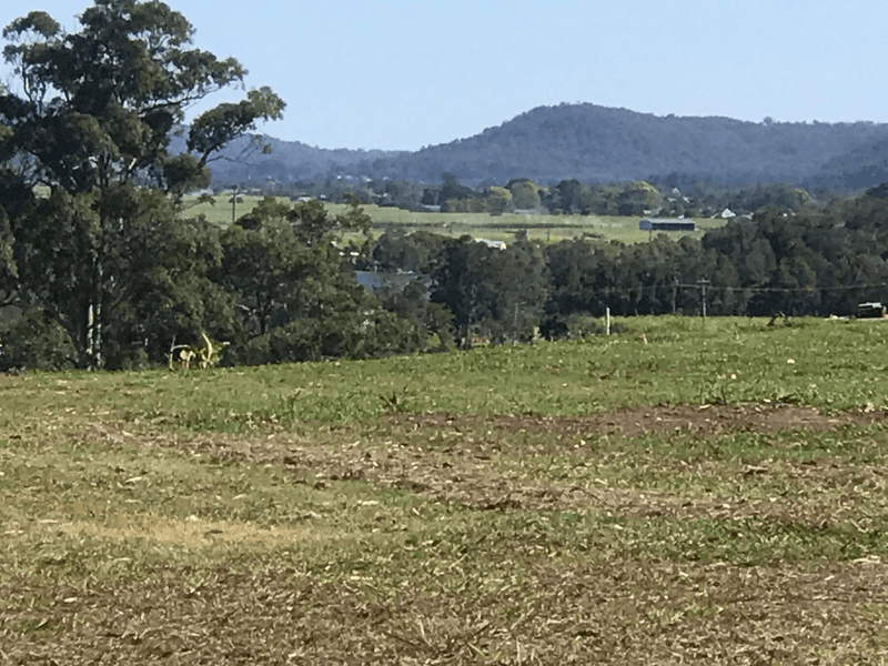 Lot 1024 Gecko Court, WOOMBAH, NSW 2469