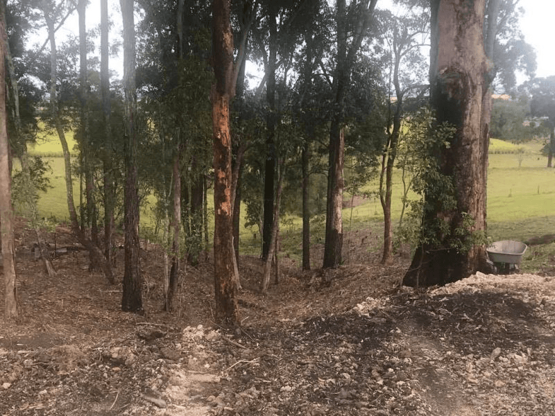 Lot 1024 Gecko Court, WOOMBAH, NSW 2469