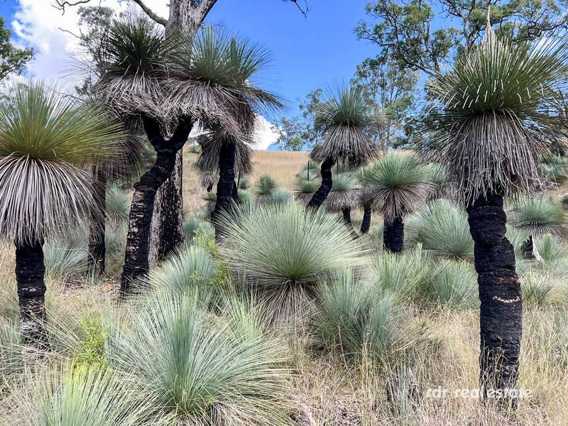 354 Pollocks Lane, Delungra, NSW 2403