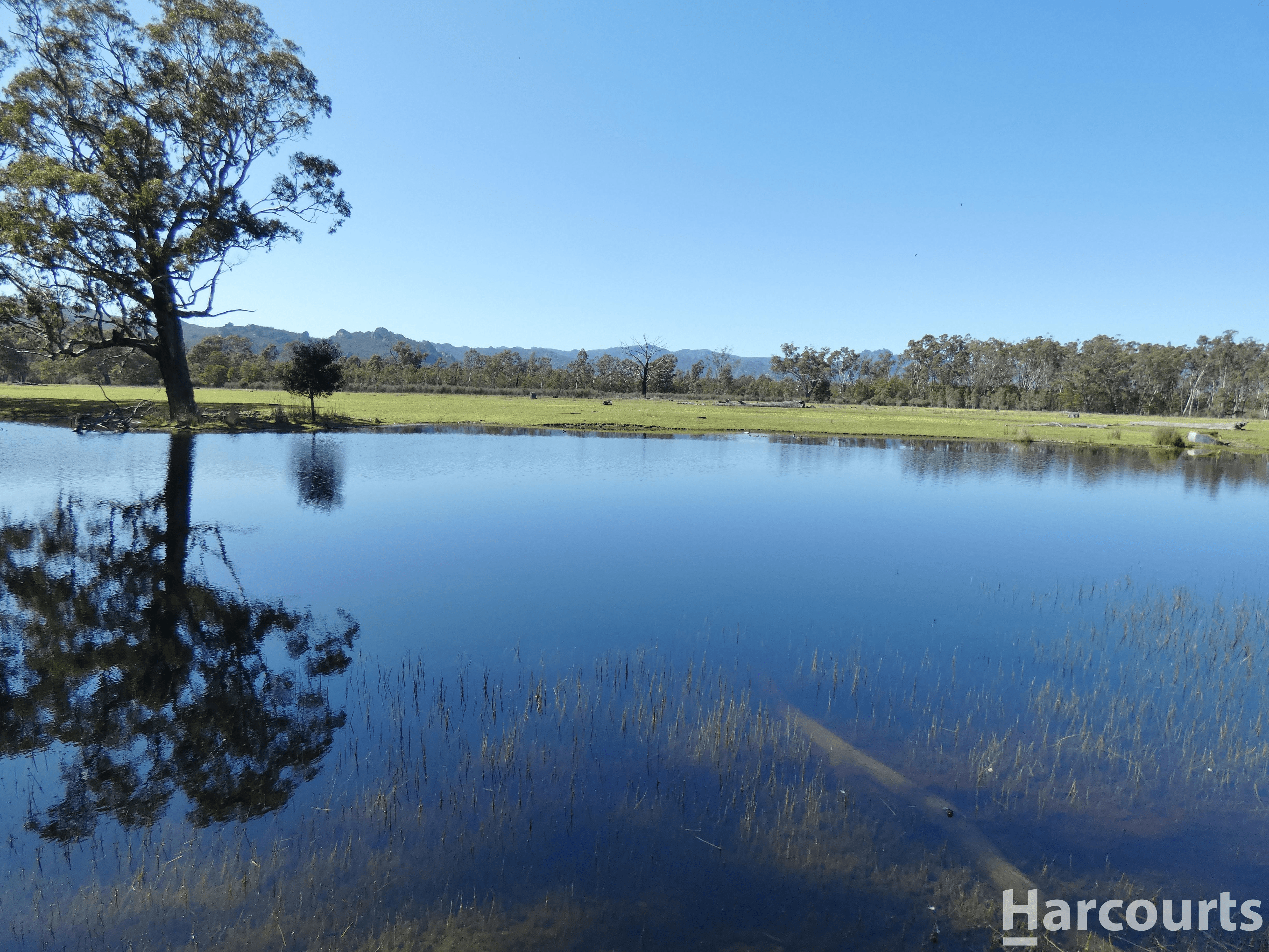 . Red Rock Road, GLENISLA, VIC 3314