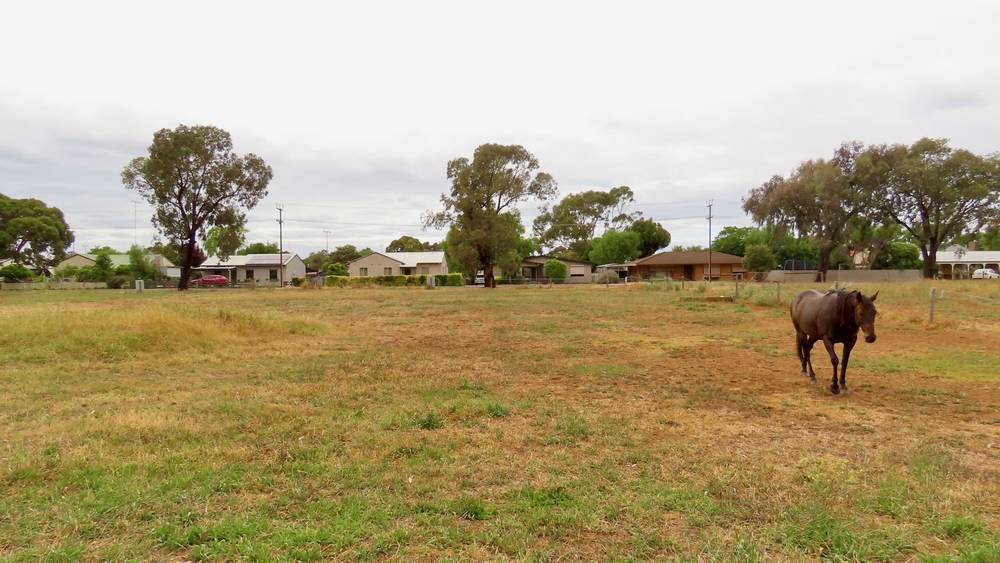 Lot 175 Portland Street, Penola, SA 5277