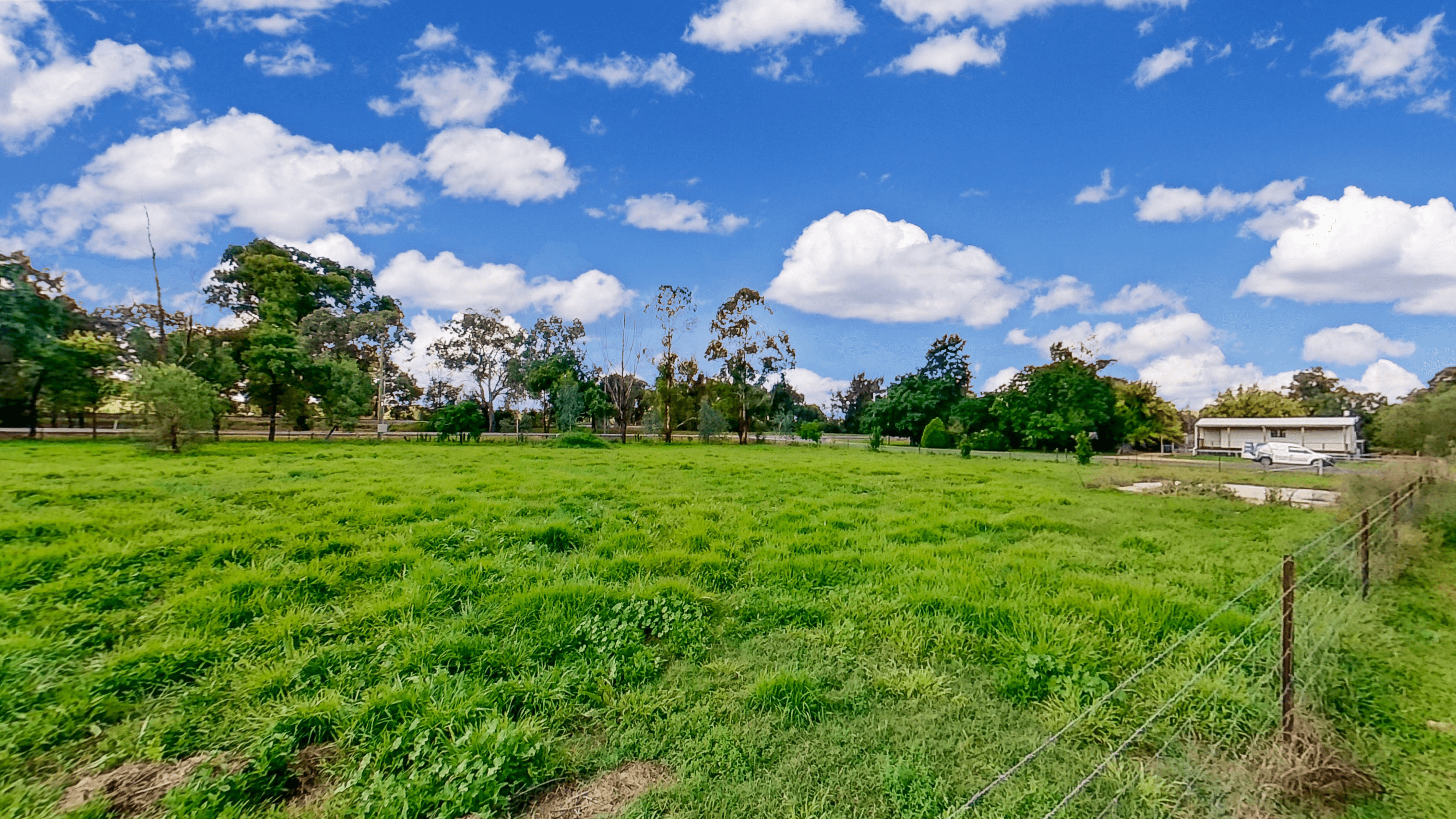 Buckenbah Street, GEURIE, NSW 2818