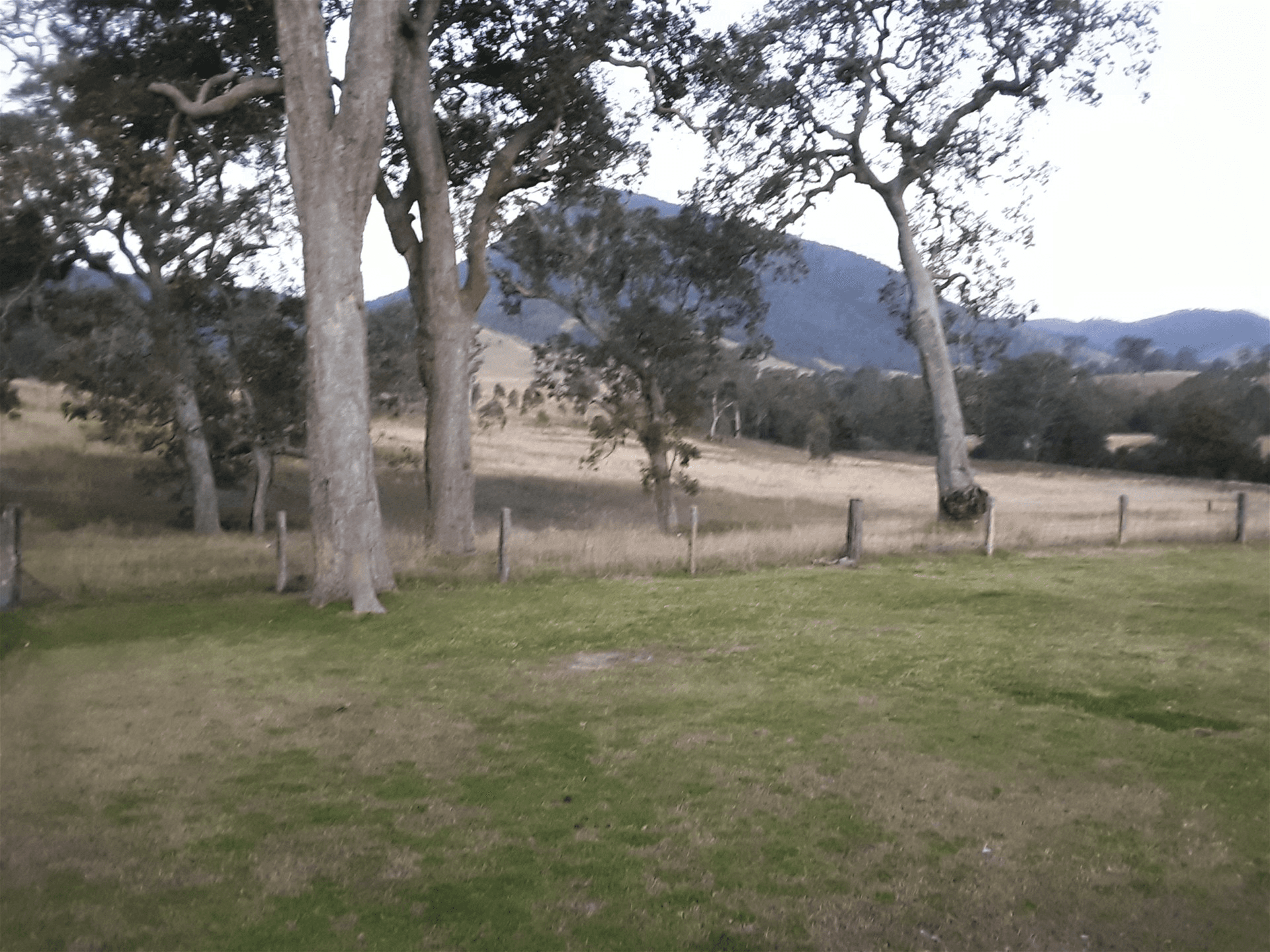 1696 Bakers Creek Road, BUNDOOK, NSW 2422