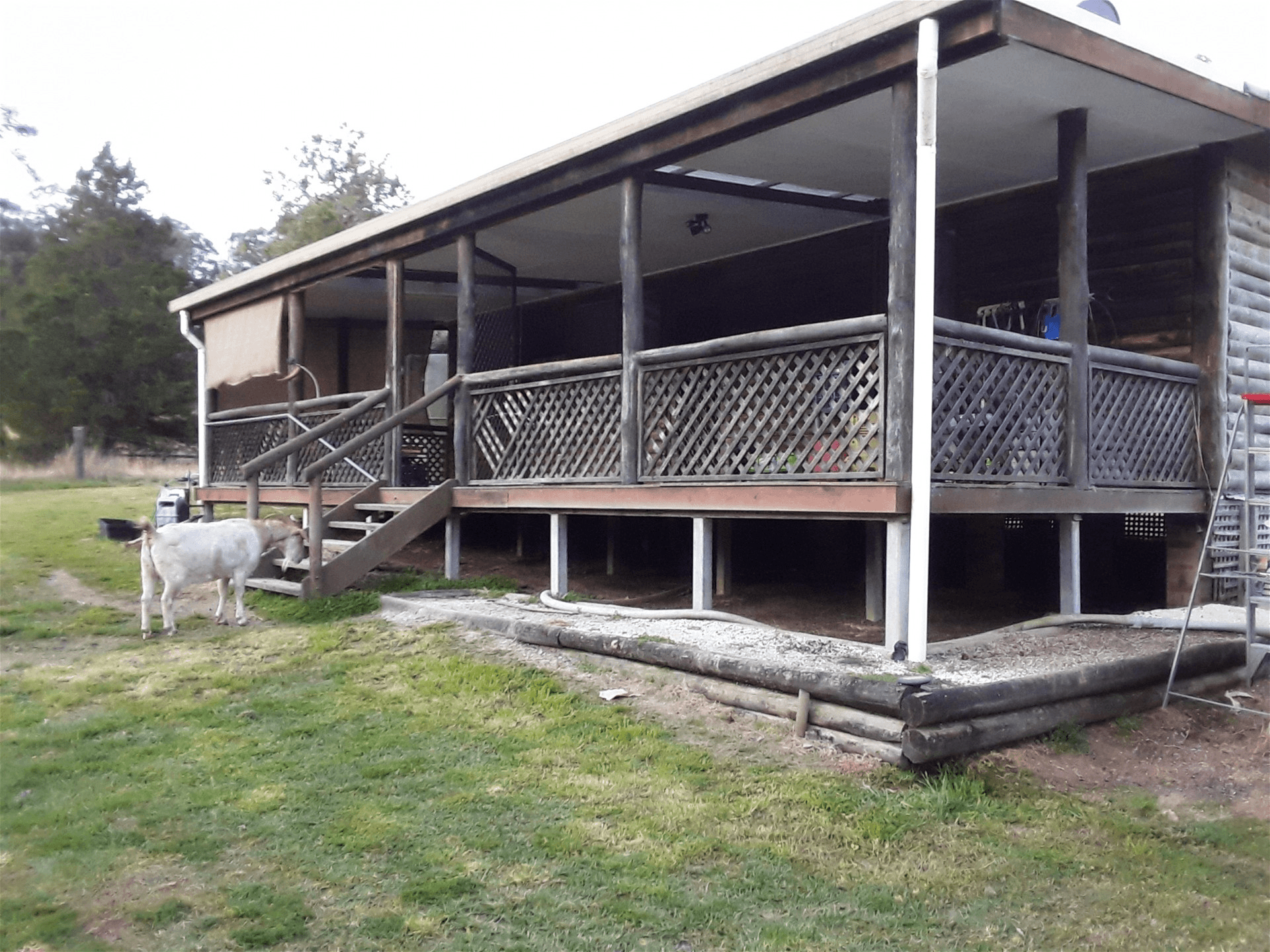 1696 Bakers Creek Road, BUNDOOK, NSW 2422