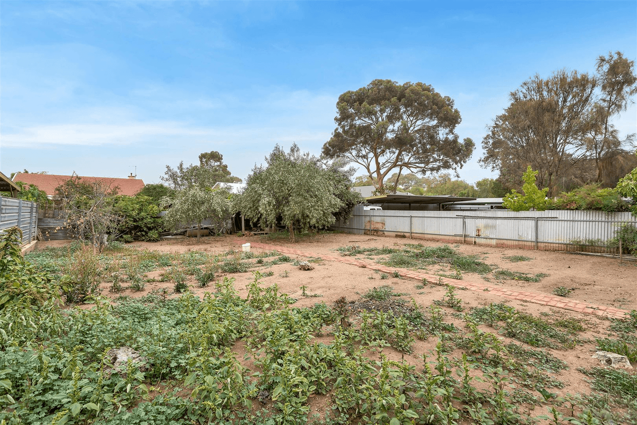 43 Victoria Street, Forestville, SA 5035