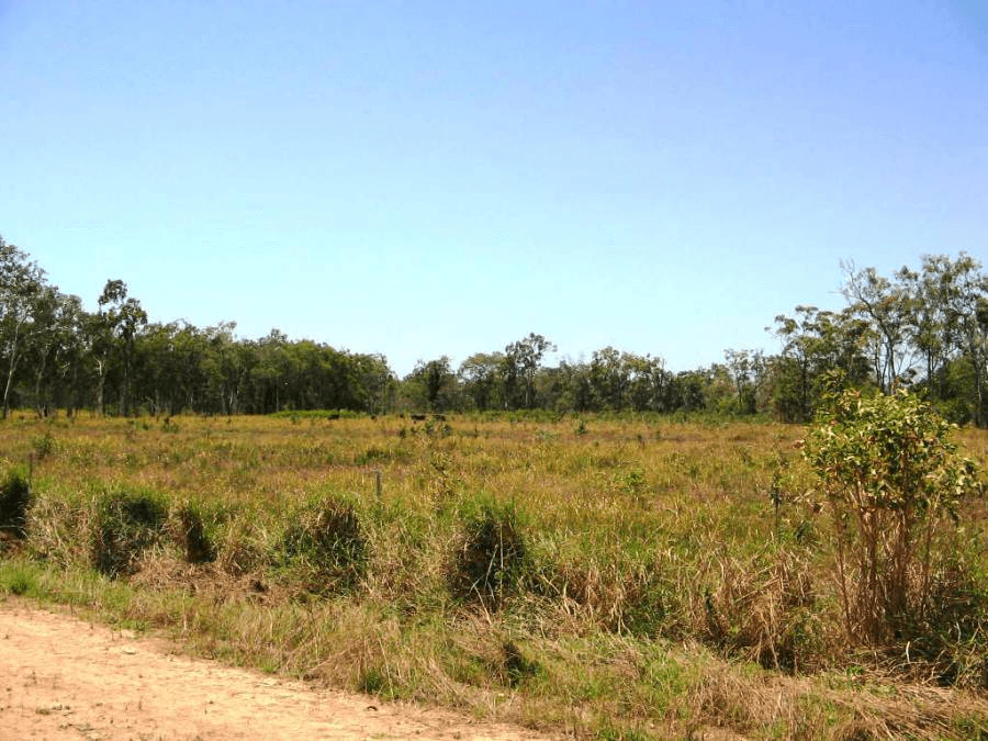 LOT 25 HAYMAN DRIVE, BLOOMSBURY, QLD 4799