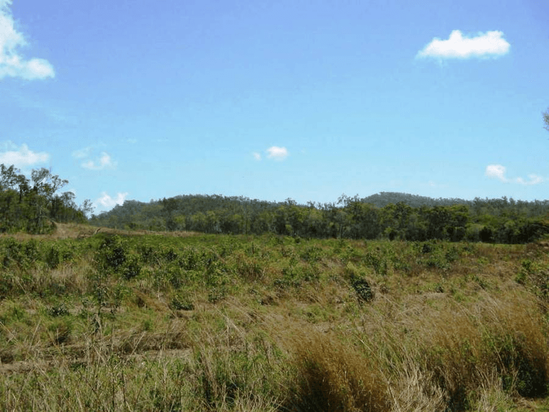 LOT 25 HAYMAN DRIVE, BLOOMSBURY, QLD 4799