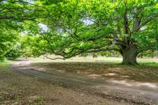 174 Creek Junction Rd, Kithbrook, VIC 3666