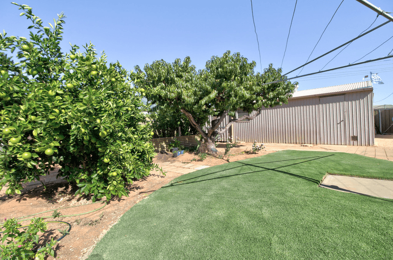 11 Phillips Road, BERRI, SA 5343