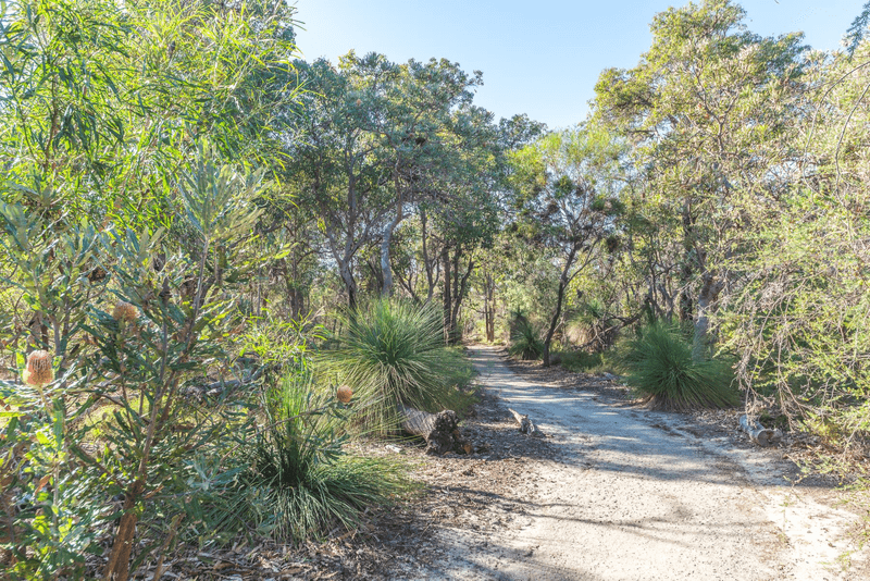 41 Haig Road, ATTADALE, WA 6156