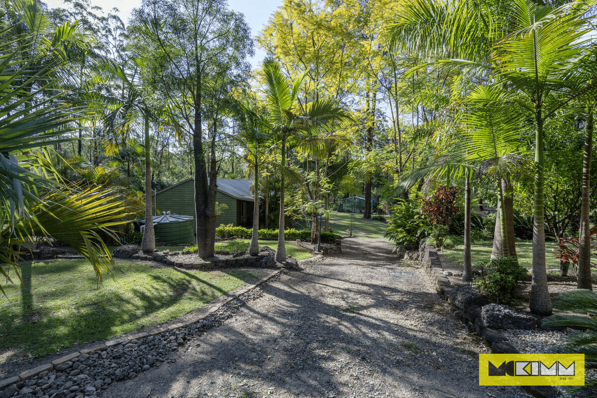 3623 Armidale Road, Nymboida, NSW 2460