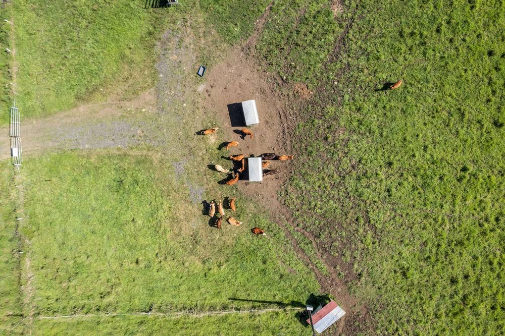 148 Collins Creek Road, New Park, NSW 2474