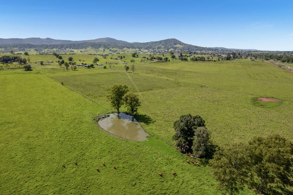 148 Collins Creek Road, New Park, NSW 2474