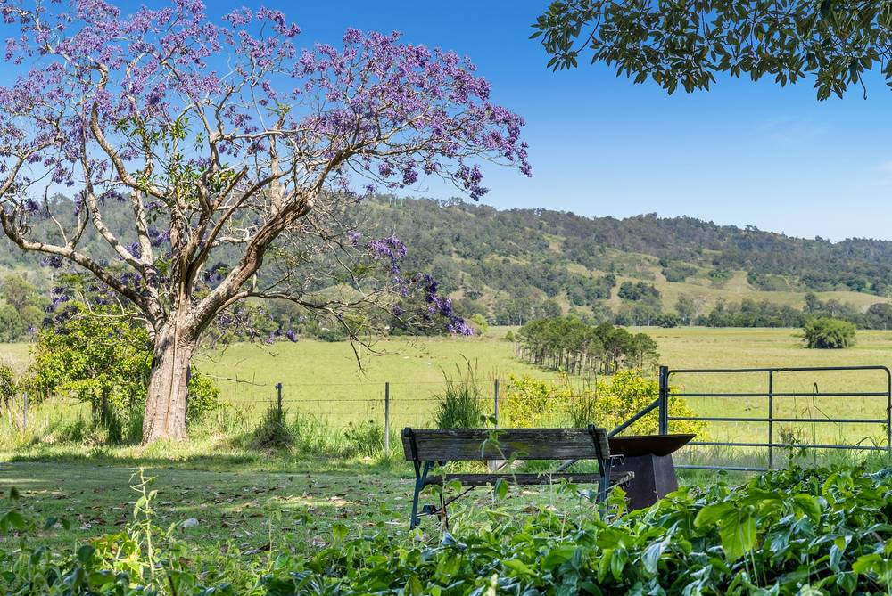 148 Collins Creek Road, New Park, NSW 2474