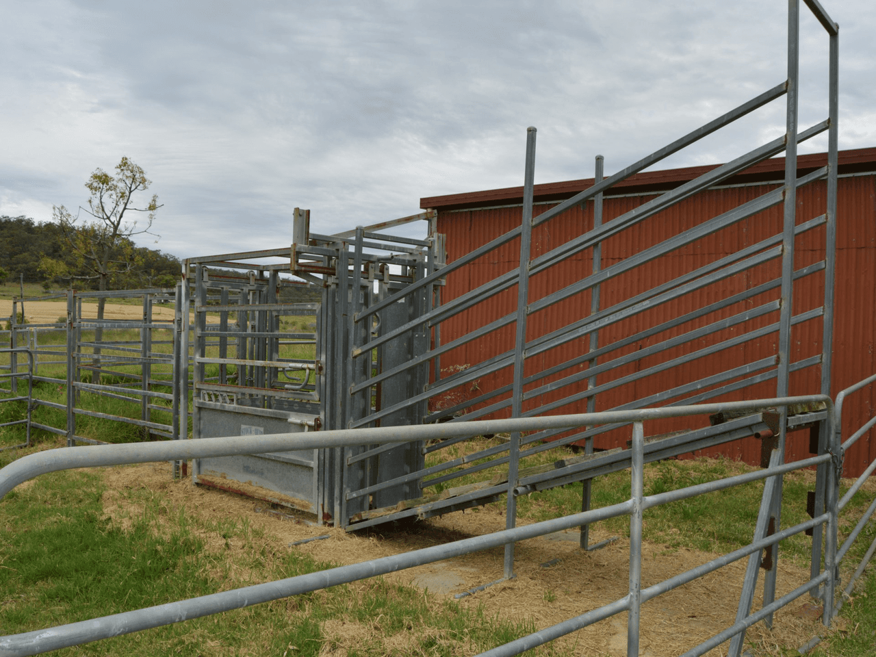 98 Moar, PILTON, QLD 4361