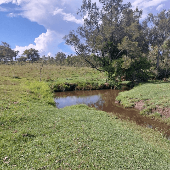 Nellers Road, NEW MOONTA, QLD 4671