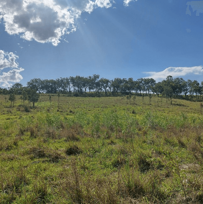 Nellers Road, NEW MOONTA, QLD 4671