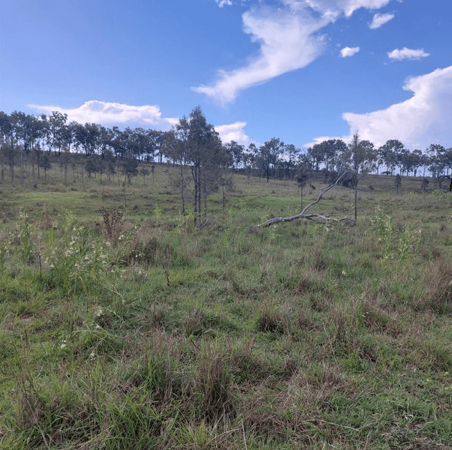 Nellers Road, NEW MOONTA, QLD 4671