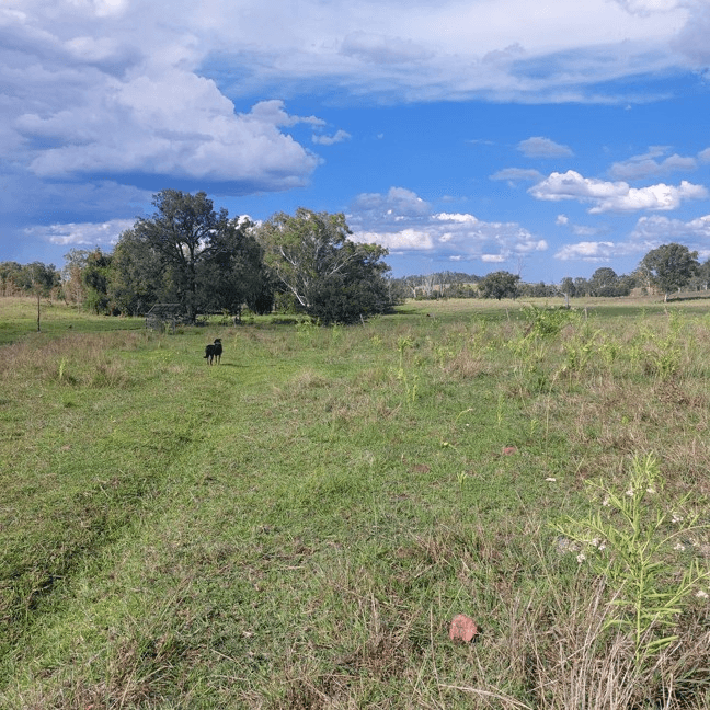 Nellers Road, NEW MOONTA, QLD 4671